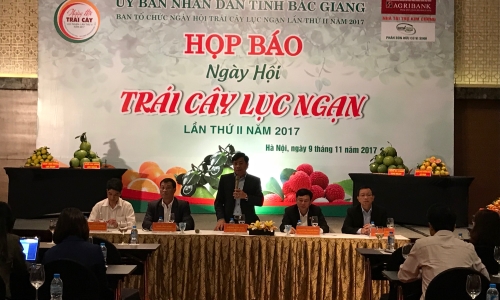 Hơn 100 gian hàng trưng bày, giới thiệu Ngày hội Trái cây Lục Ngạn lần thứ II